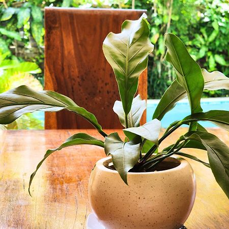 Danaya'S Villa Ubud Exteriér fotografie