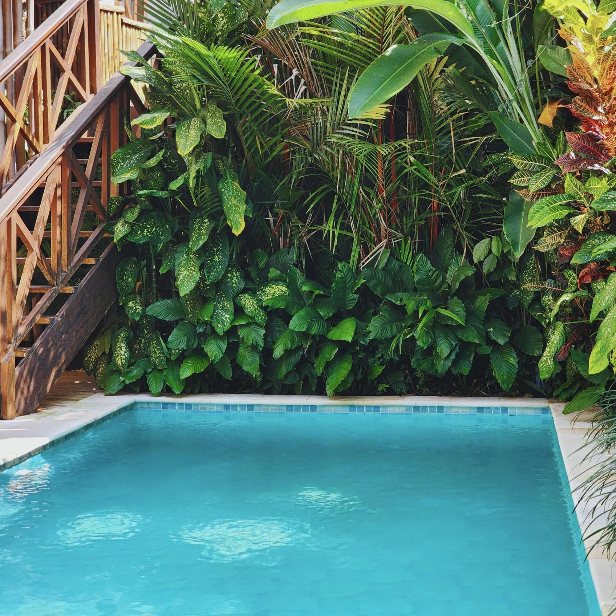 Danaya'S Villa Ubud Exteriér fotografie